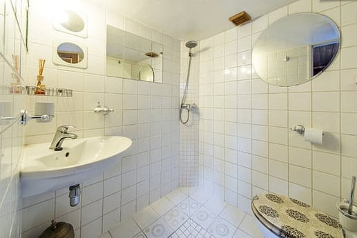 Bathroom with its walk-in shower