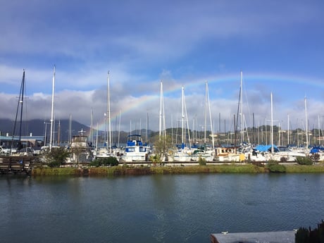 VIEW TO NORTH