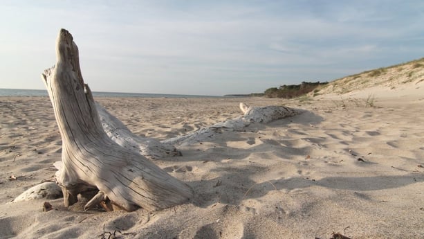 This beach is in the global Top-10 of best beaches.