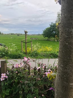 View outside the main gate entrance, with private parking bay across the road