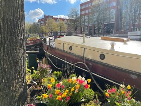 Houseboat 908 Amsterdam photo 6