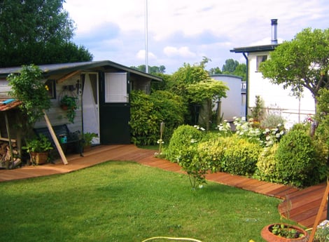 The garden