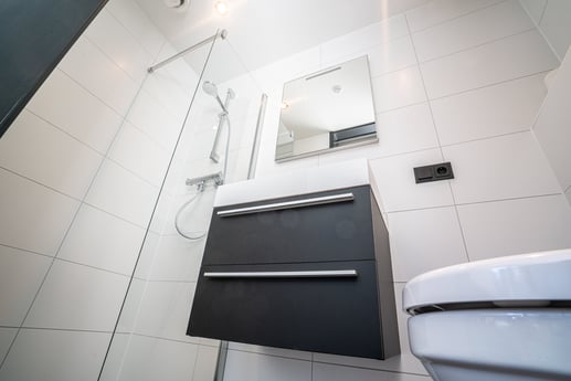 Badkamer met wastafel, douche en toilet