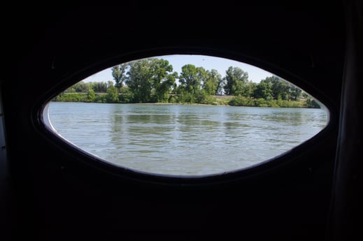 Bateau-maison 316 Avignon photo 5