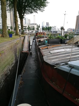 Hausboot 810 Rotterdam Foto 15