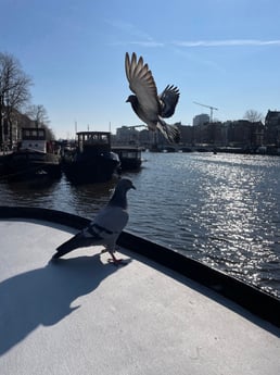 Houseboat 766 Amsterdam photo 21