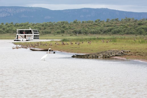 Bateau-maison 721 Jozini photo 15