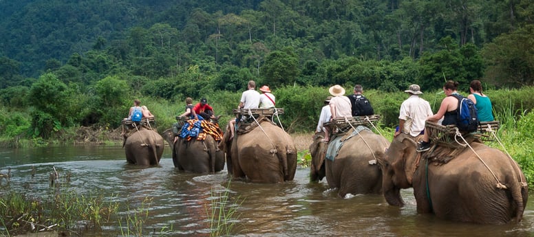 Wir bieten ausgezeichnete Ausflüge an, wie zum Beispiel Elefantentrekking.