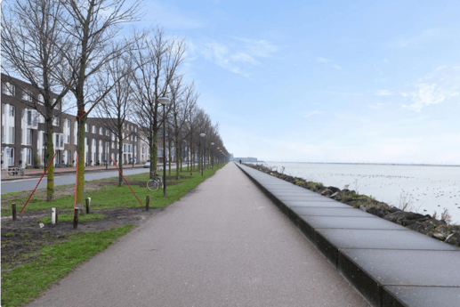 Walk among the lake
