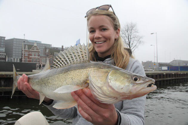 Pesca de lucioperca en la capital - casa flotante amsterdam